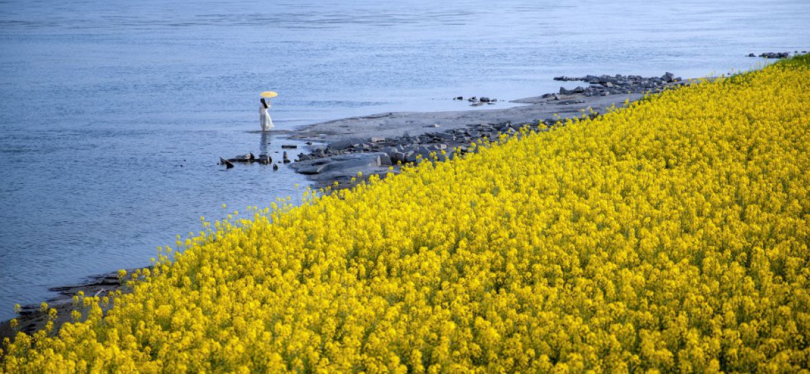 江畔花漾·風(fēng)吻春顏