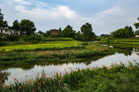 清清河邊是我家