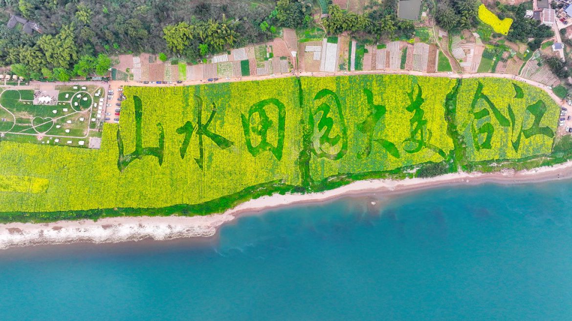 合江花田，長江作伴